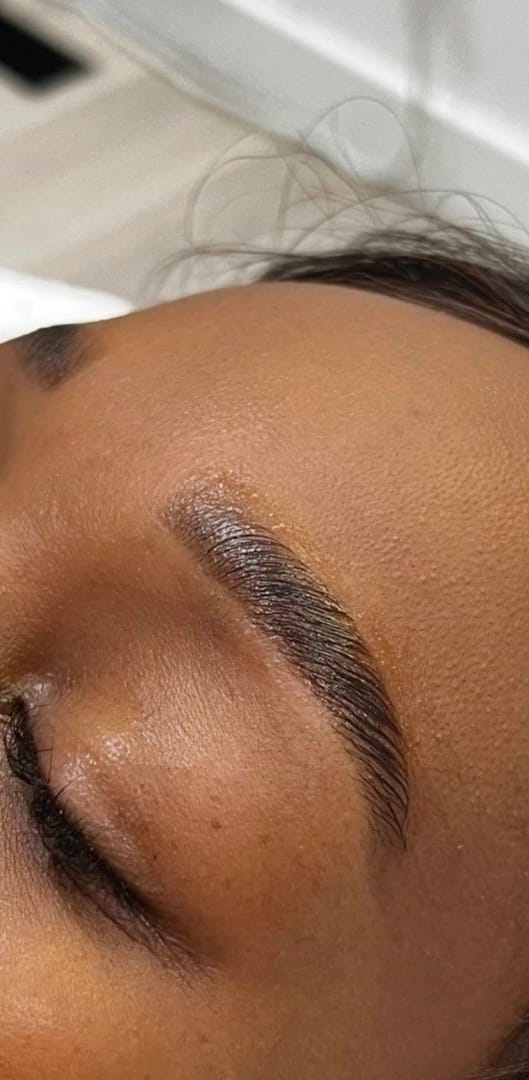 The same brow after lamination, brushed upward into a full, defined shape