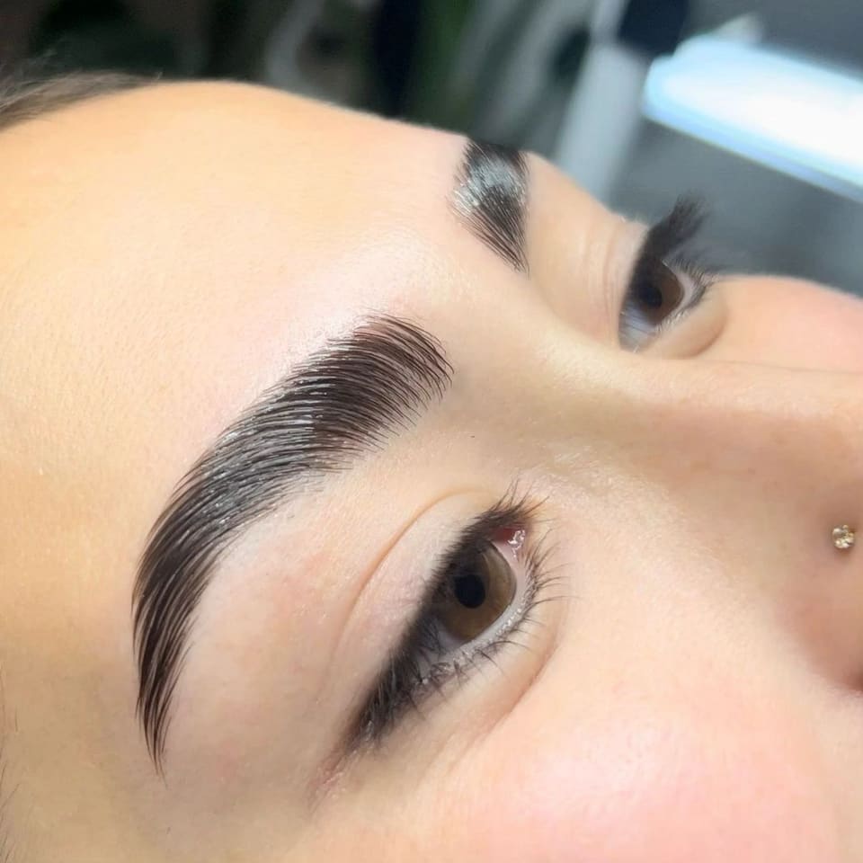 Freshly laminated brows brushed upward into a full, glossy shape