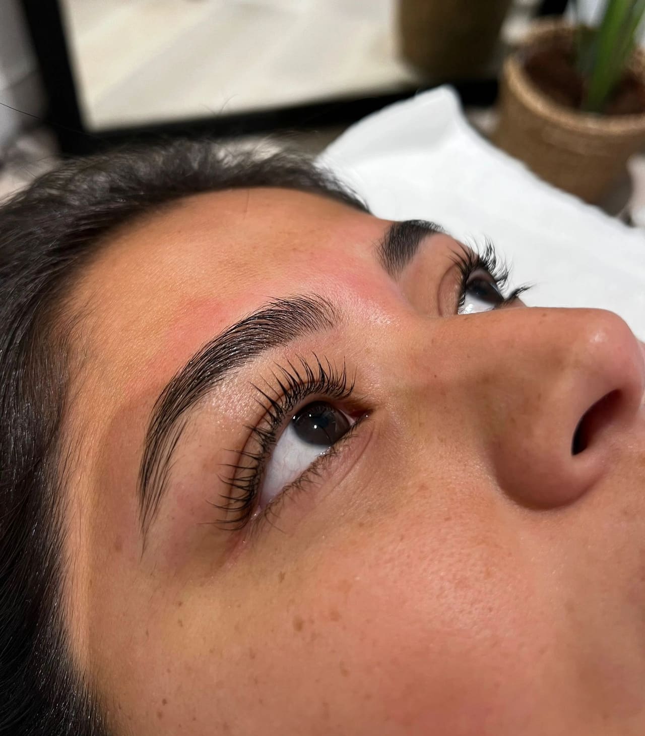 A client’s natural lashes curled and lifted, with a brushed-up brow above